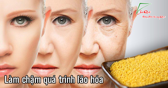 Hạt kê có tác dụng trừ những bệnh gì?